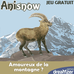 Anisnow : jeu gratuit sur Internet, s\'occuper d\'un animal